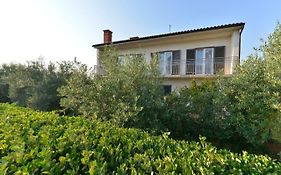 Apartman Meri Pula